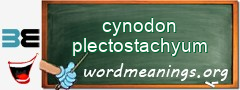 WordMeaning blackboard for cynodon plectostachyum